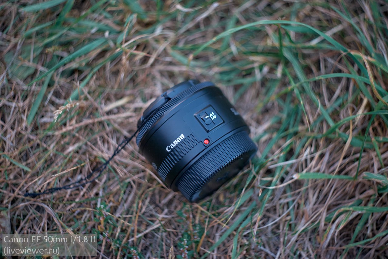 Обзор Canon EF 50mm f1.8 II - с примерами фото и видео