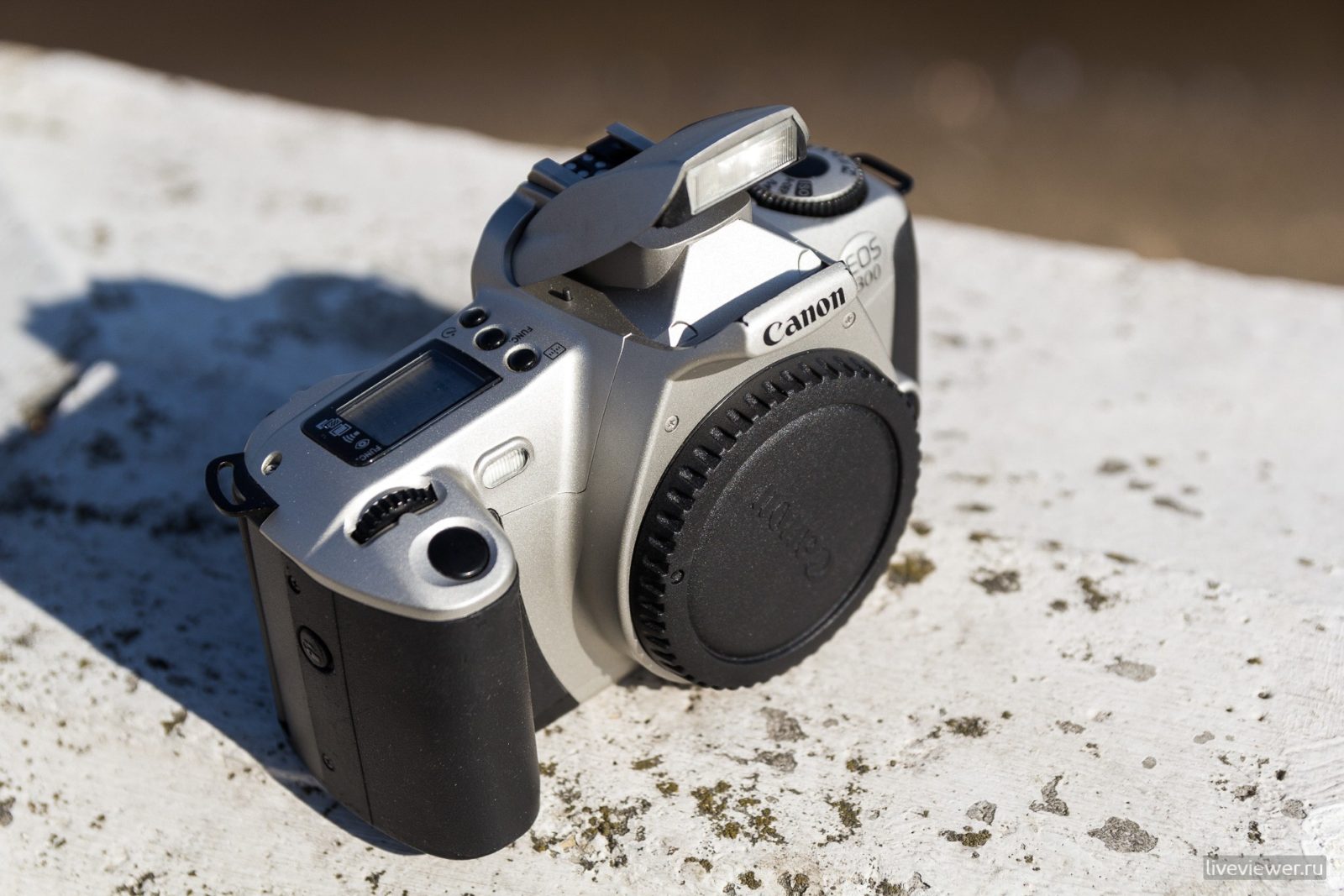 Canon Kiss III (EOS 300) - обзор с примерами фото