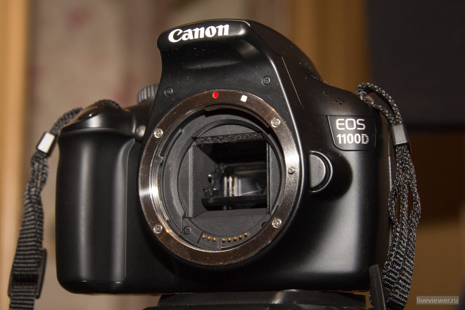 Canon 1100D