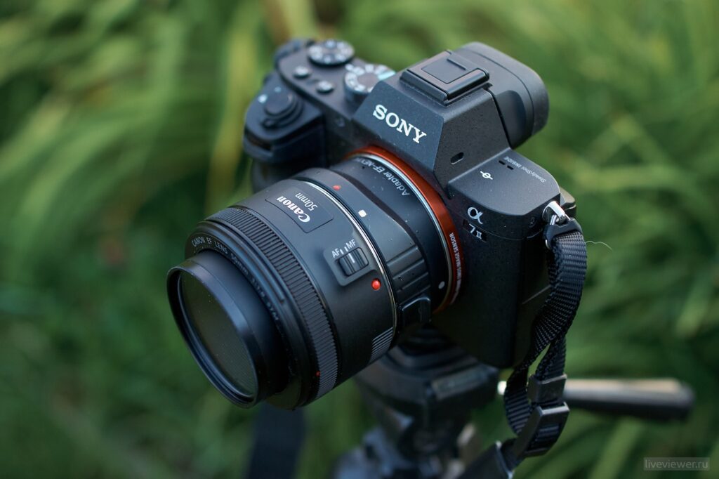 Canon 50mm 1.8 STM на Sony