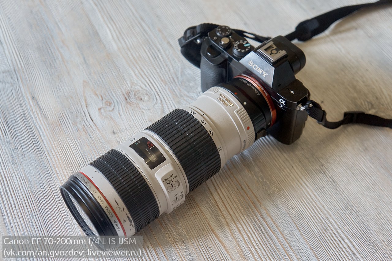Обзор Canon EF 70-200mm f/4 L IS USM - с примерами фото и видео