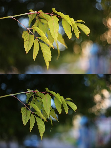 Canon FD 55 1.8 vs Gelios 44m 4 primer foto 5