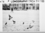 LOMOGRAPHY ORCA 100 BW 110 primer foto 00001