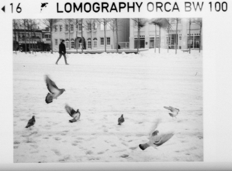 LOMOGRAPHY ORCA 100 BW 110 primer foto 00001