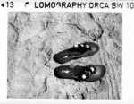 LOMOGRAPHY ORCA 100 BW 110 primer foto 00004