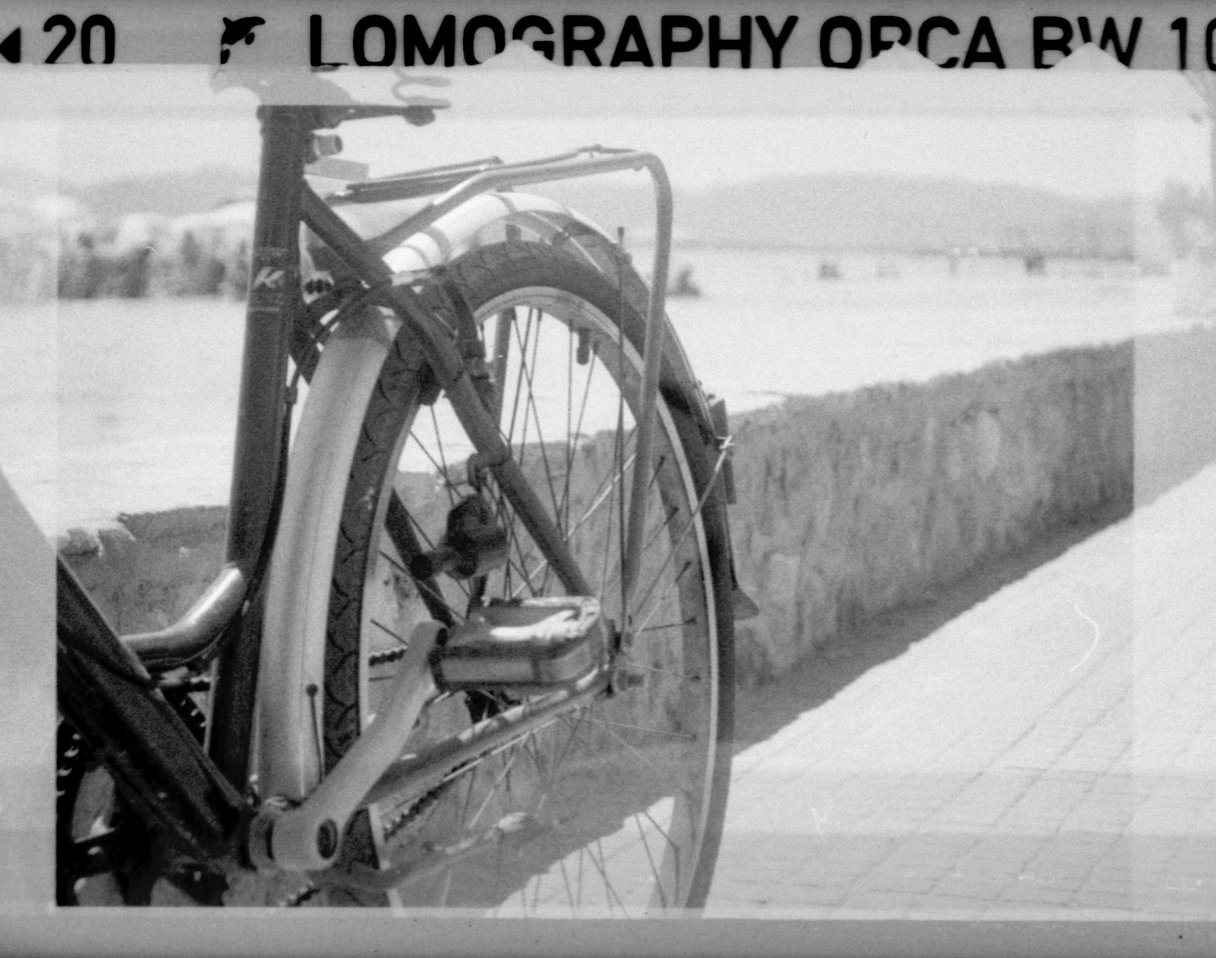 LOMOGRAPHY ORCA 100 BW 110 primer foto 00007