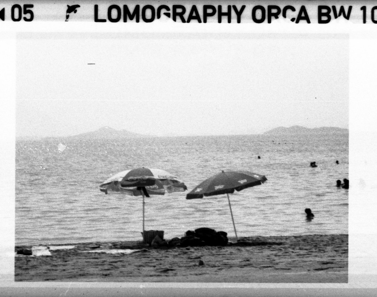 LOMOGRAPHY ORCA 100 BW 110 primer foto 00008