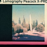 LOMOGRAPHY X PRO PEACOCK 110 primer foto 00013